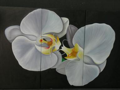 Dafen Oil Painting on canvas white flower -set005